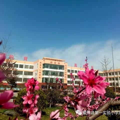 春暖花又开，教材培训学习忙——记商城校区2016级部语文教材培训活动