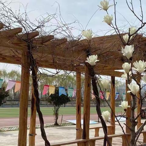 共战疫情，不负韶华——蒙阴一小商城校区2016级部停课不停学线上教学活动