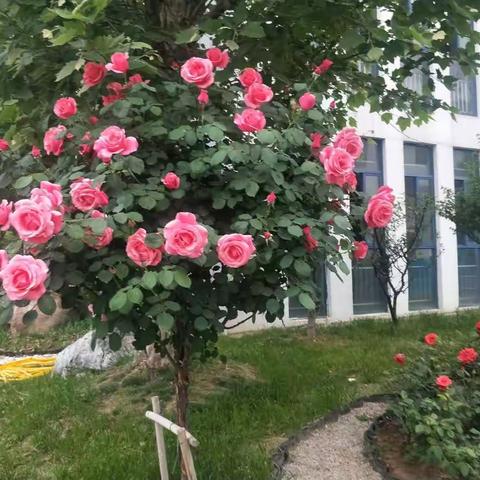 面朝大海，春暖花开……