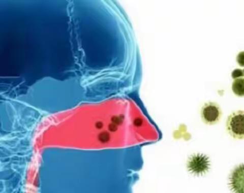 柳絮要来了……过敏性呼吸系统疾病要注意什么