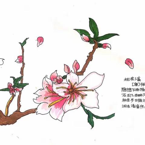 启明星——桃花溪