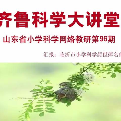 相遇云端，教研同行——滨城区全体科学老师参加齐鲁科学大讲堂96期网络教研活动