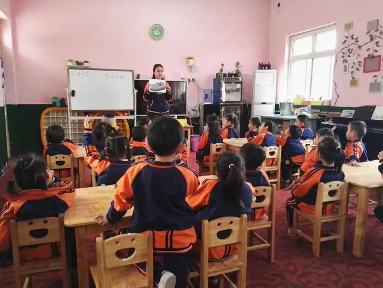 幼儿园的教育教学活动