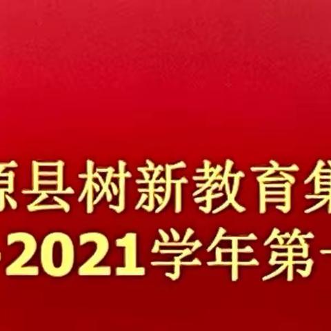 凝心聚力 砥砺前行——树新集团三校联合小学语数外教研活动