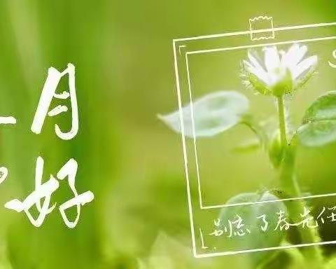 阳春三月，“幼”见美好———中二班三月学习生活纪录片