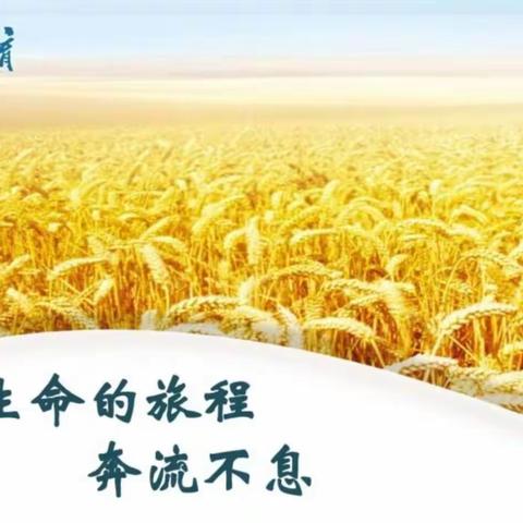 根深本固、花自盛开——莒南县“新教育实验”线上之第四场新生命、新德育