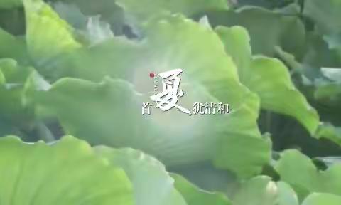 心有清宁静，但惜夏日长！