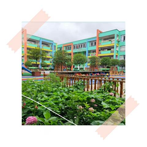 青柠芒芒盛夏                                    清风夏雨点点