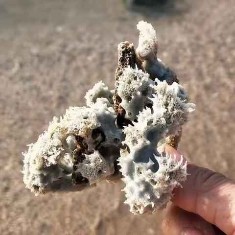 《在风里》羊屋小舍/作品