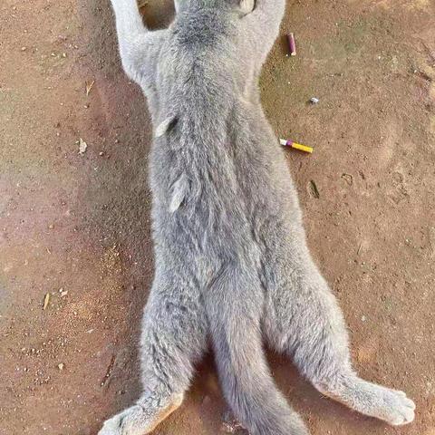 《人生遇同趣之人才会同乐》