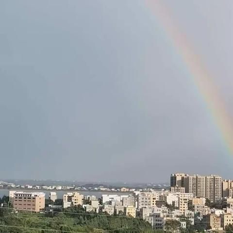 《足不出户的日子》    🍎羊屋小舍🍊作品 2022/11/28