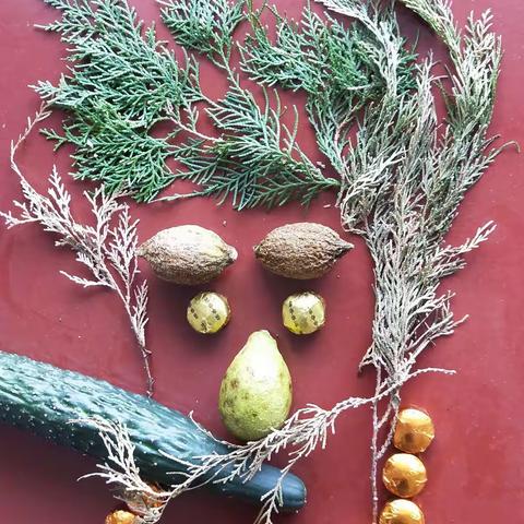 《我在风中独自凌乱》羊屋雅舍2022/10/22