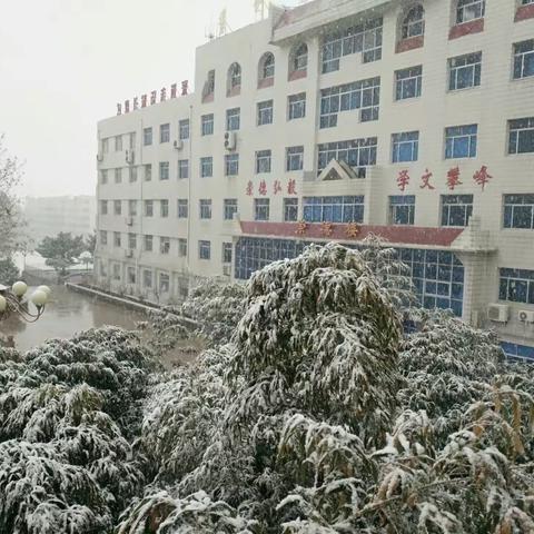 文峰中学 诚信育人 携梦前行――温情不惧风雪