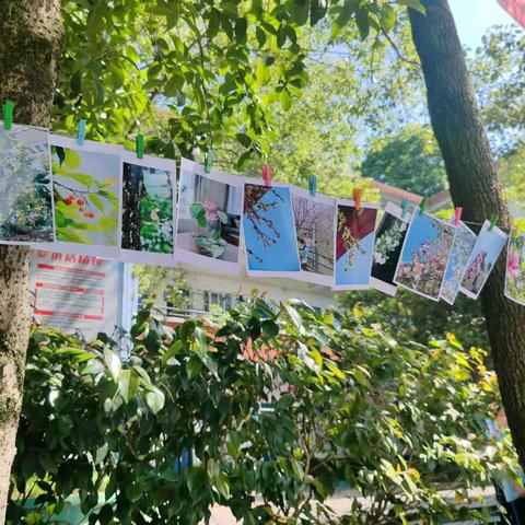 【课题动态17】🌿 用镜头记录成长，用劳动滋养生命——镜里采花，群芳争艳，“我和植物有个约会” 摄影大赛圆满举办