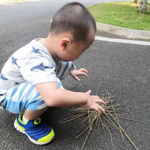 海工商职业学院附属幼儿园（有趣的二十四节气）中九班