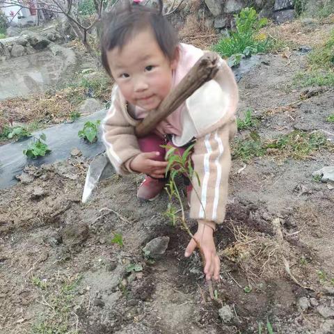 植下一棵树，收获万点绿