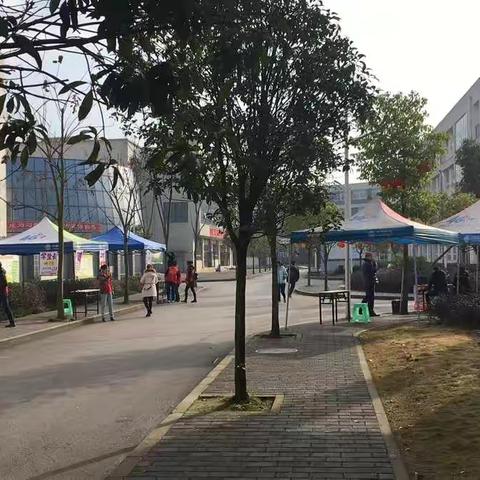 家校共育职教未来之花（家访日记一）