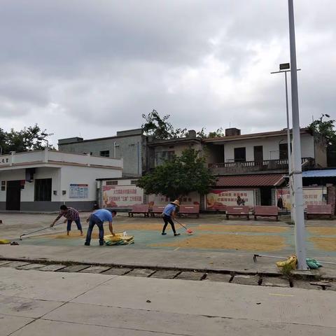 彰显雷锋精神，争做党员先锋——公坡镇水北村干部冒雨帮助农户抢收晾晒的稻谷