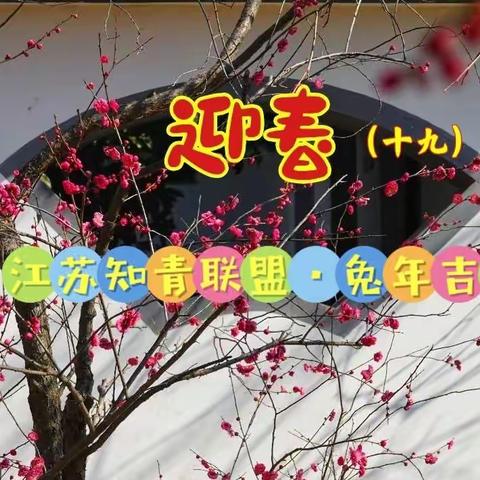 兔年吉祥•迎春（十九）