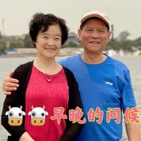 第一至六集：共和国同龄人🐮🐮早晚的问候