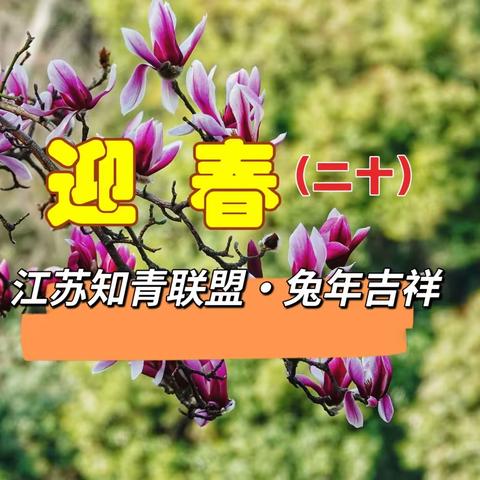 兔年吉祥•迎春（二十）