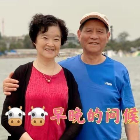 共和国同龄人🐮🐮早晚的问候  第七集