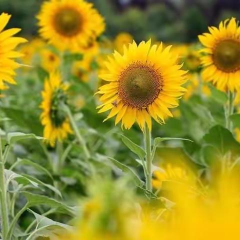 特殊的时光，不一样的陪伴