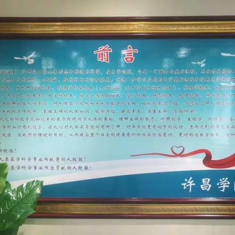 没有解剖学，就没有医学。全国医学院校塑形人体标本生产基地