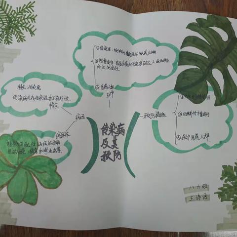 八年级生物学科活动展评
