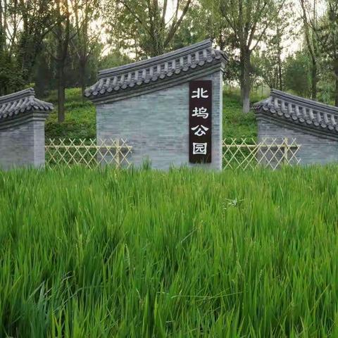 游北坞公园玉东园