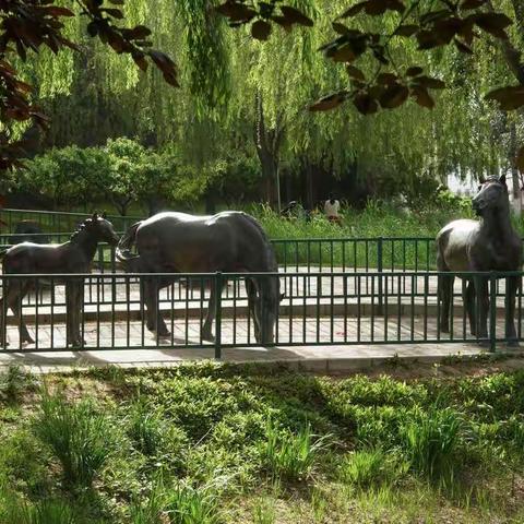 游元大都遗址公园  ， 西北土城