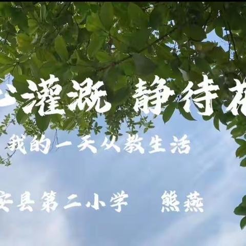 用心灌溉 静待花开－熊燕老师一天的从教生活