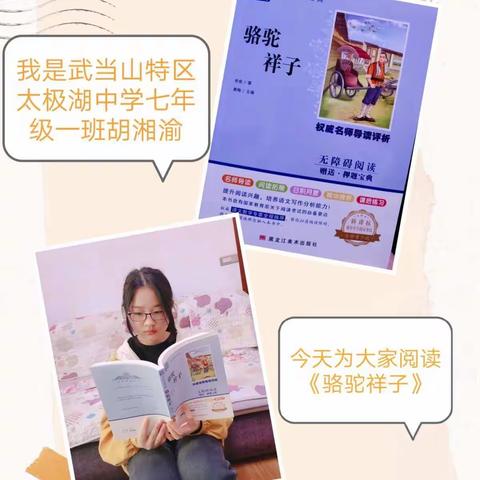 太极湖学校初中部积极参与学校举办的读书月活动