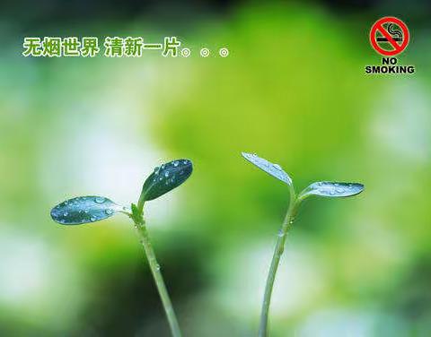 吸烟有害健康，向二手烟说不  ——西村二小罗口教学点开展世界无烟日主题活动