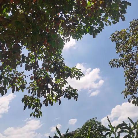 家校携手防溺水，家访关爱暖人心——龙川镇洞好教学点2022年暑假防溺水家访宣教活动