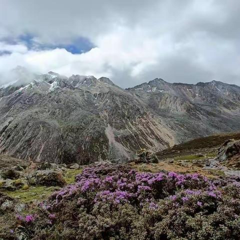 穿行雪山与花海，格聂大环线徒步