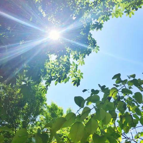 美美与共，各美其美——红旗小学第十三周语文教研活动掠影