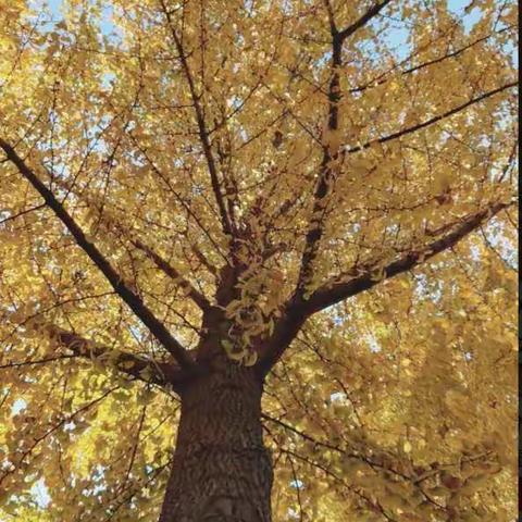 立足有效教研，打造高效课堂