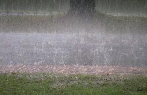 强降雨天气致学生和家长的一封信