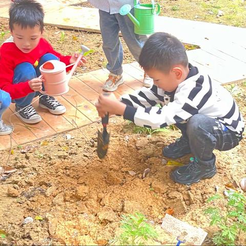 220317一隅小角——中草药种植篇