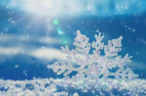 那山，那雪，那抺橙