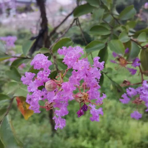 寒假温馨提示