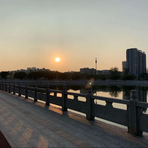 在没有你的时候