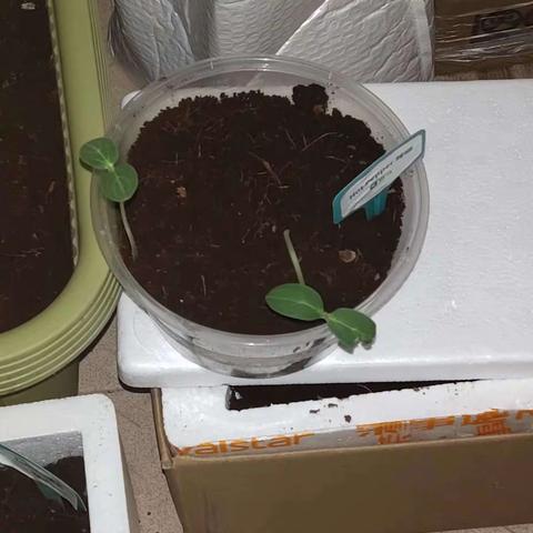 你的每一天，我的小世界