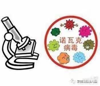 预防诺如病毒🦠宣传知识☆高泉幼儿园