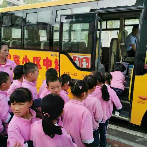 春晖花雨幼儿园“我与小学零距离”朵朵二班美篇