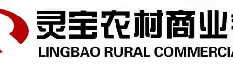 强化应急演练  筑牢安全防线——灵宝农商银行董事长邢宏涛一行检查安全保卫工作