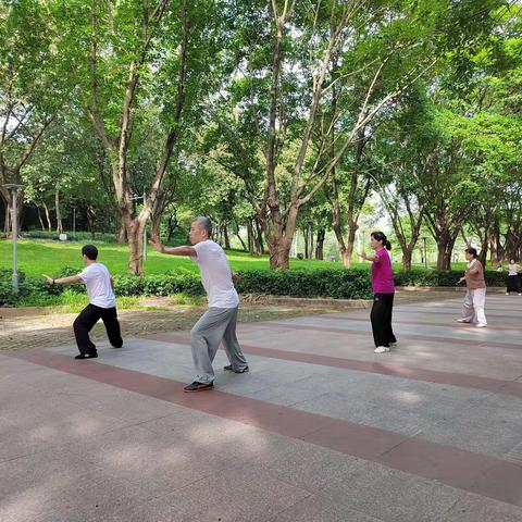 练功随记：最近练陈式太极拳，掩手肱拳，不自觉会喷气，气到手指未捎。意念一动，肋间有气鼓荡！左脚大趾有脉动！