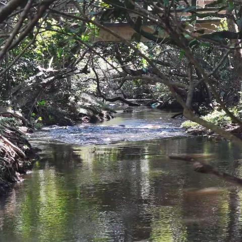 文昌乡间野趣