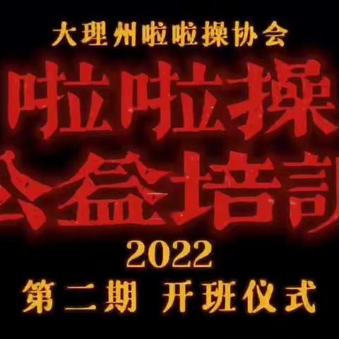 2022年度大理州啦啦操活动总结